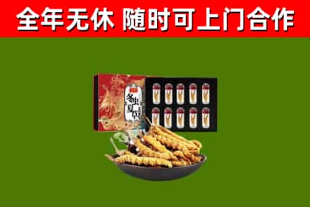 南阳回收冬虫夏草价格